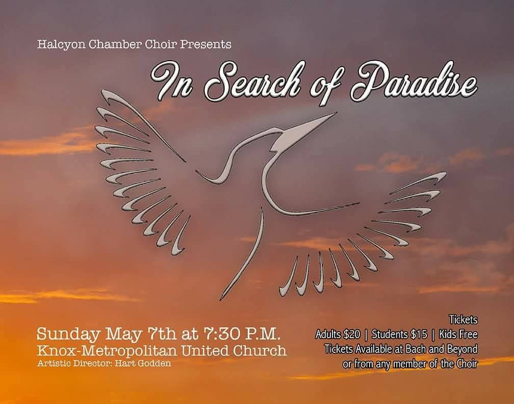 In Search Of Paradise